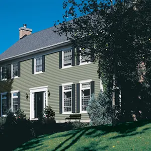 Mid-class home with green siding